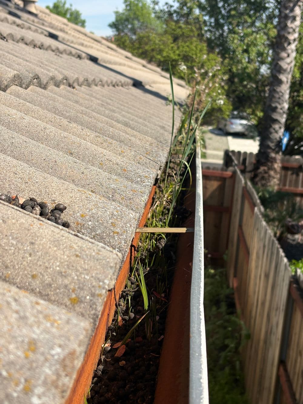 Project Gutter and Window Cleaning Service in Plumas Lake image