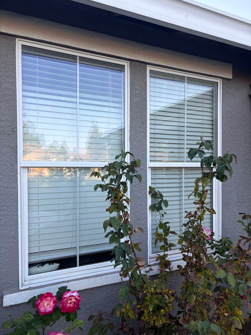 Gallery photos for Gutter and Window Cleaning Service in Plumas Lake: Image #5