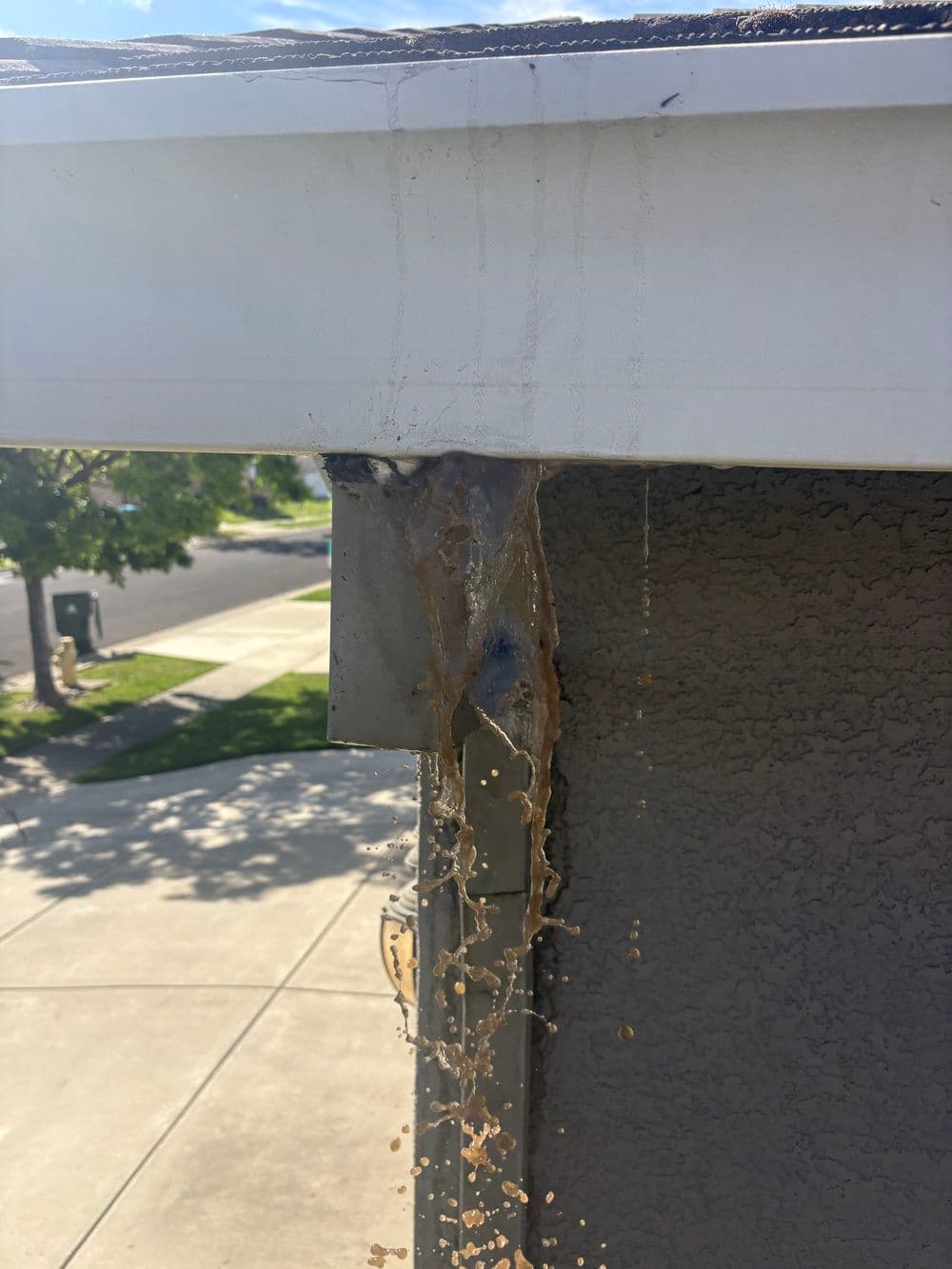 Gallery photos for Gutter and Window Cleaning Success in Plumas Lake: Image #1