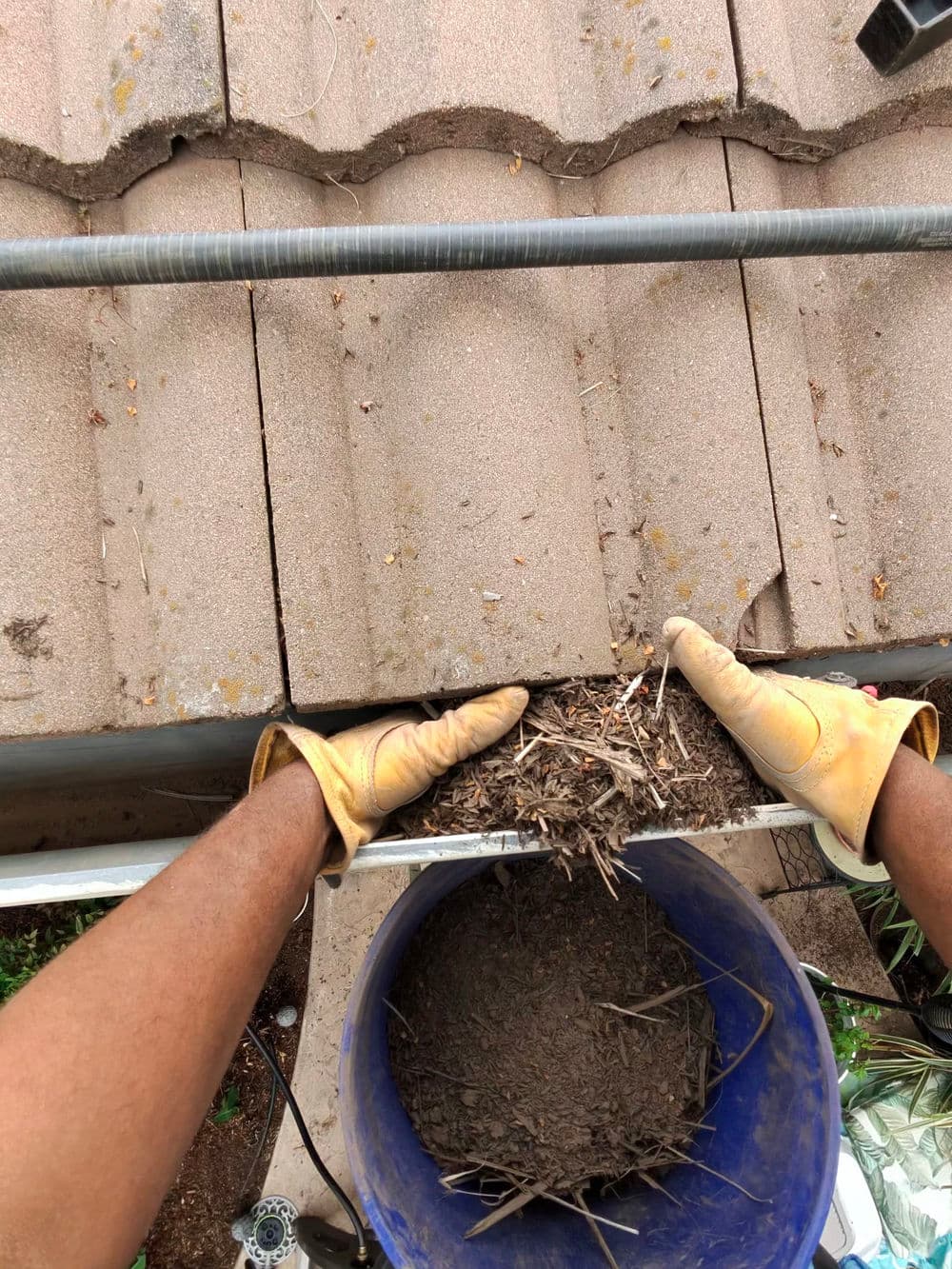 Gutter Cleaning Expertise in Plumas Lake image