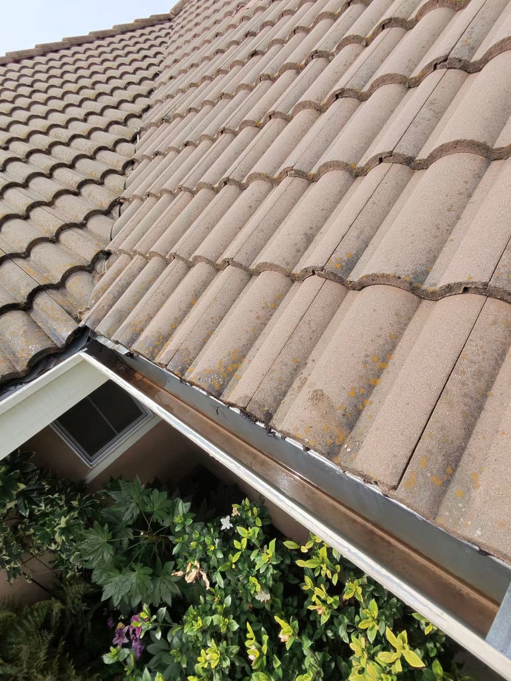 Gallery photos for Gutter Cleaning Expertise in Plumas Lake: Image #2