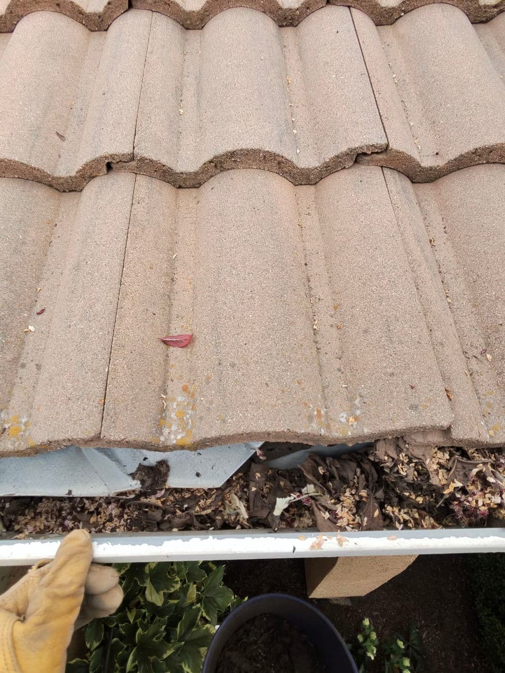 Gallery photos for Gutter Cleaning Expertise in Plumas Lake: Image #5