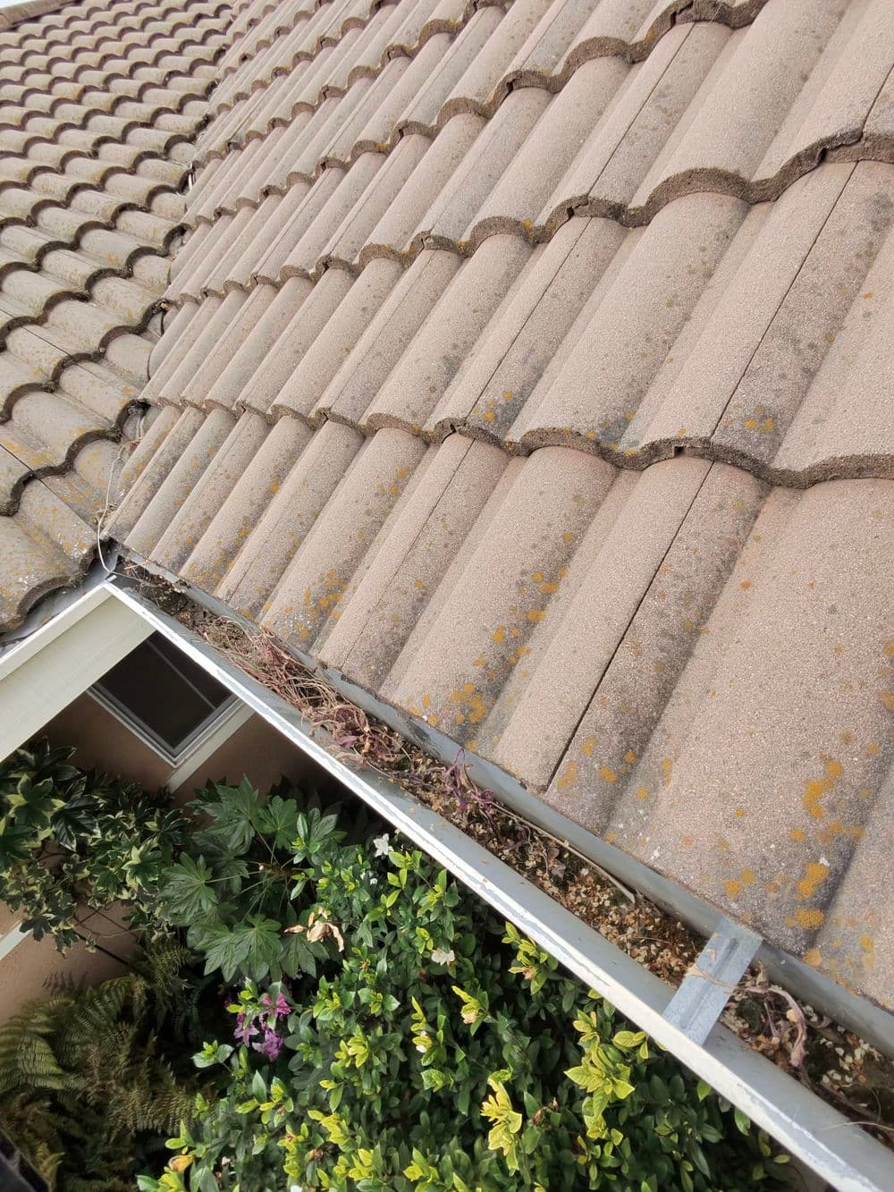Gallery photos for Gutter Cleaning Expertise in Plumas Lake: Image #1
