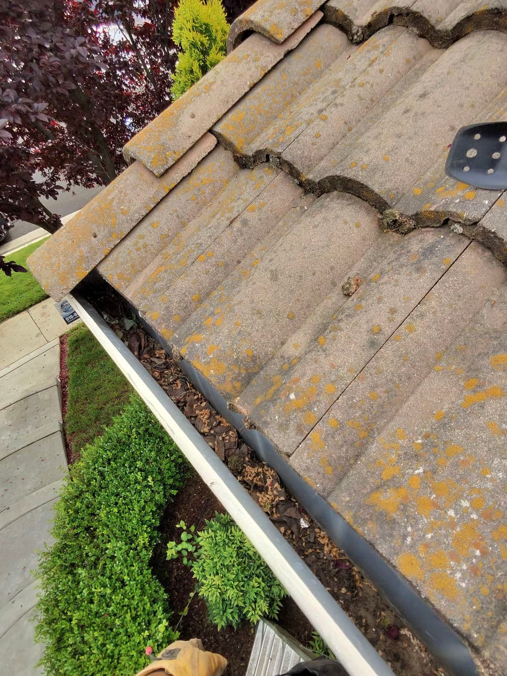 Gallery photos for Gutter Cleaning Expertise in Plumas Lake: Image #6