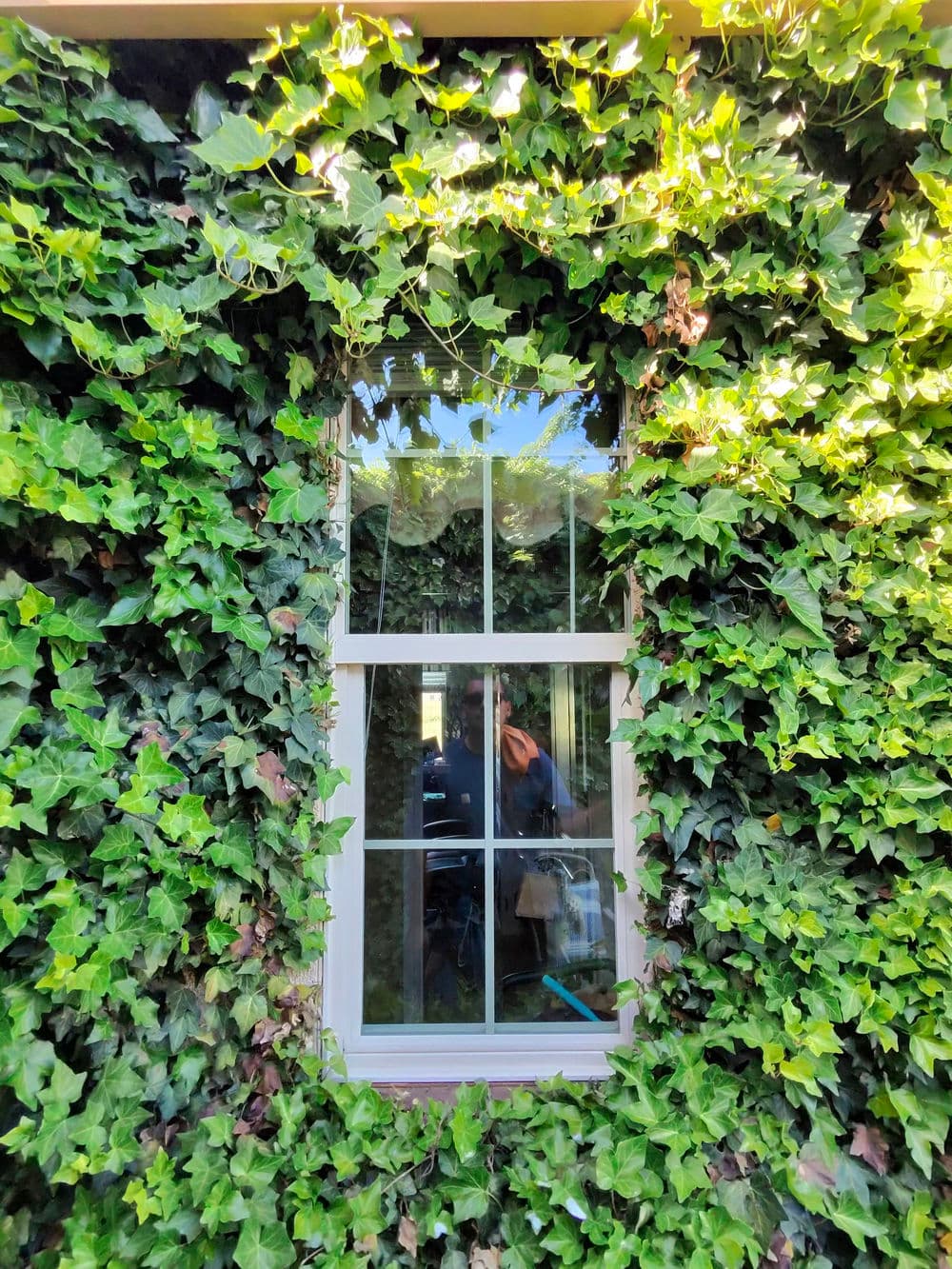 Gallery photos for Full Interior Exterior Window and Gutter Cleaning in Olivehurst: Image #5