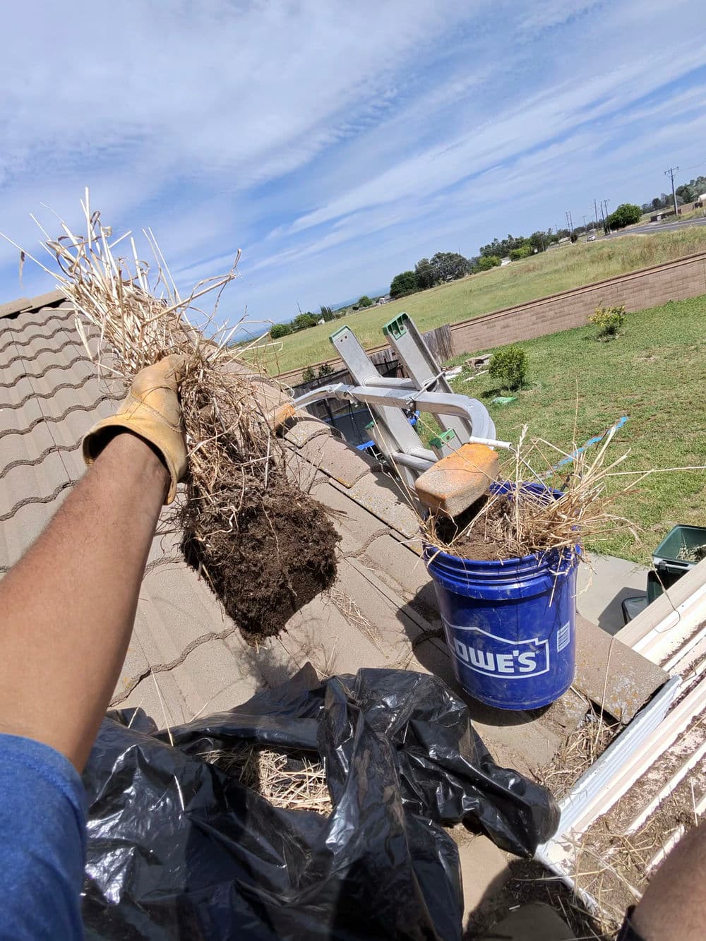Project Gutter Cleaning and Window Screen Repair in Olivehurst image
