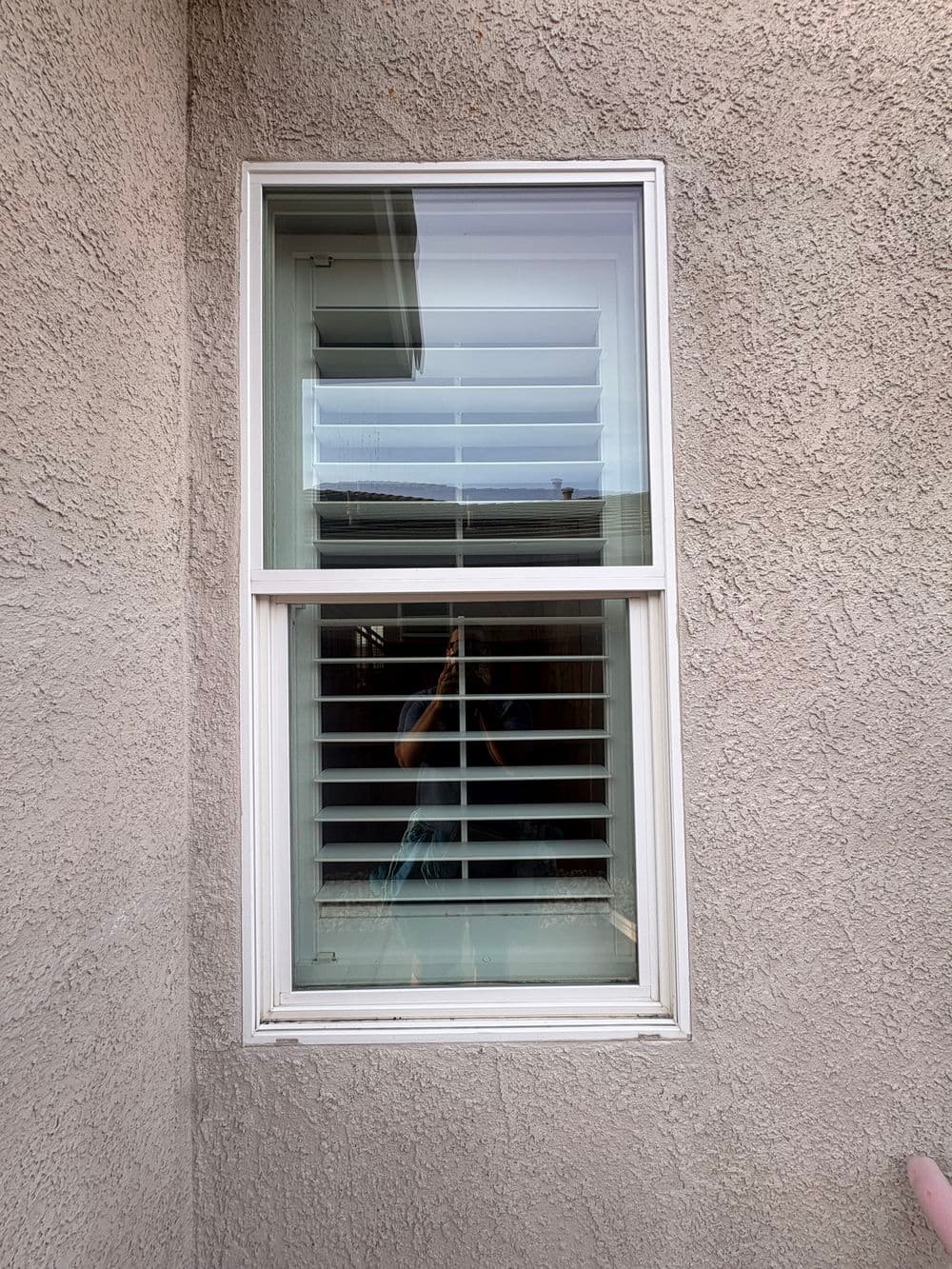 Gallery photos for Pre-Listing Window Cleaning and Screen Repair in Plumas Lake: Image #6