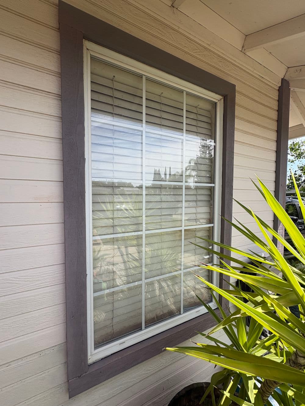 Gallery photos for Exterior Window and Screen Cleaning Done Right in Yuba City: Image #3