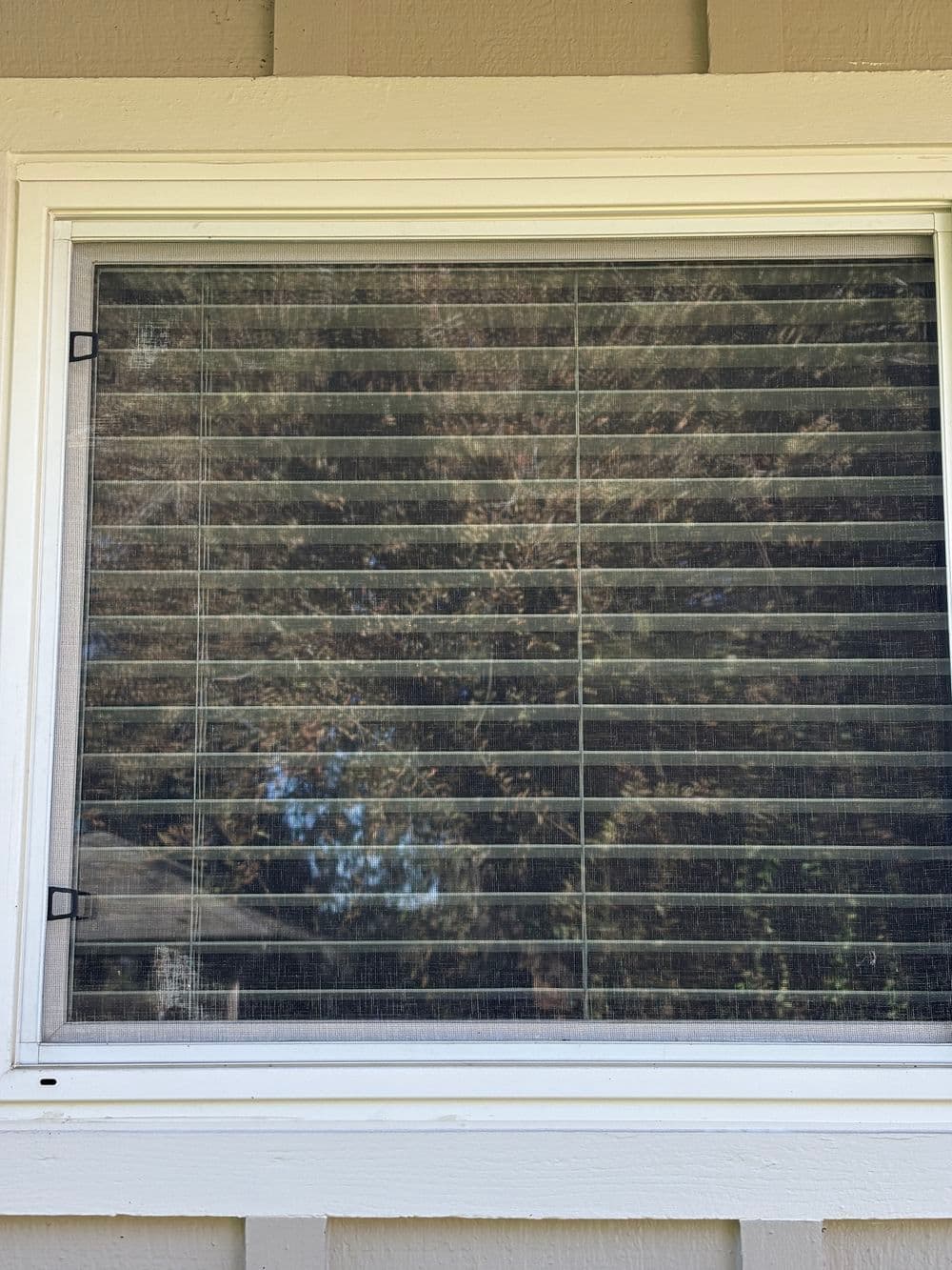Gallery photos for Window Rescreening Before and After in Yuba City: Image #4