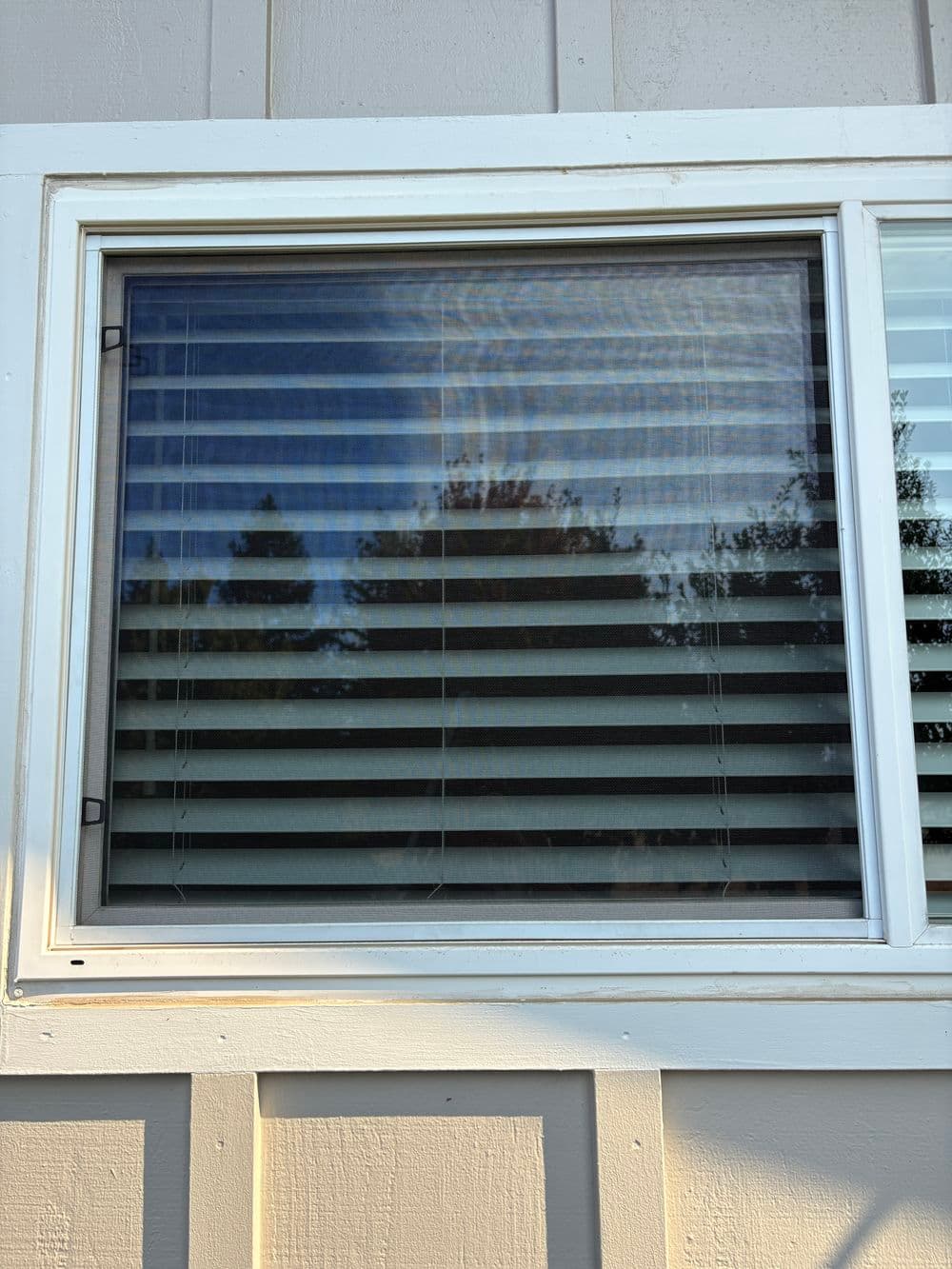 Gallery photos for Window Rescreening Before and After in Yuba City: Image #5