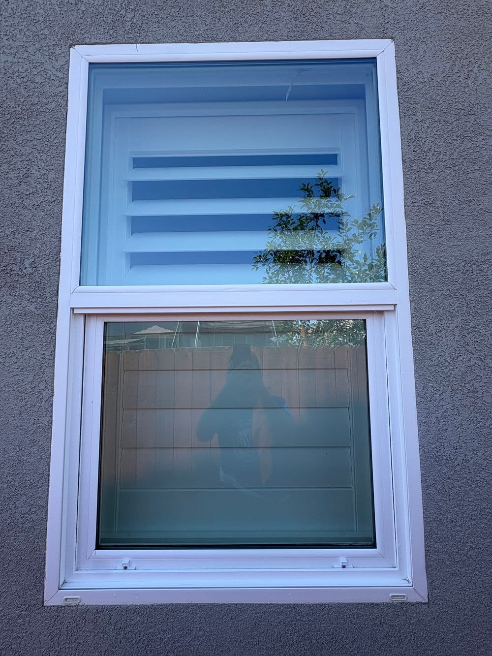 Gallery photos for Streak-Free Window Cleaning for a Quarterly Client in Plumas Lake: Image #4