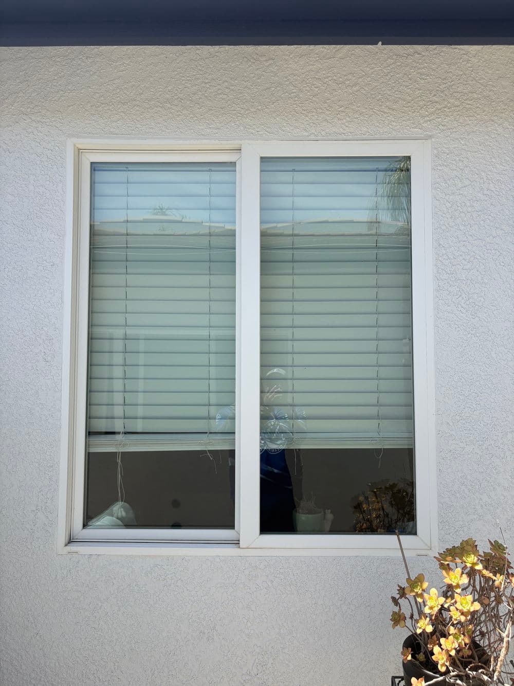 Gallery photos for Full Exterior Window Cleaning and Screen Replacement in Plumas Lake: Image #10