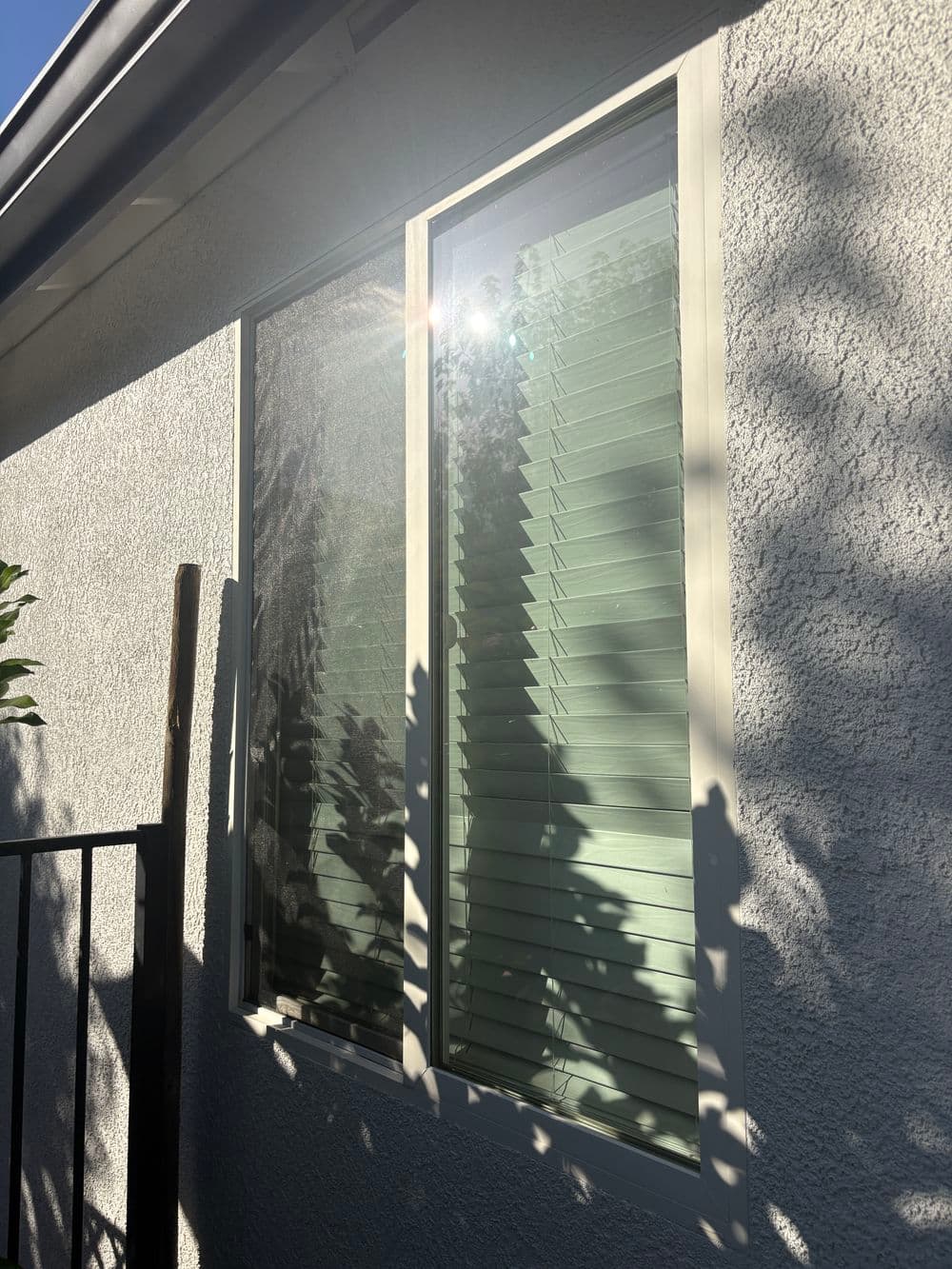 Gallery photos for Full Exterior Window Cleaning and Screen Replacement in Plumas Lake: Image #5