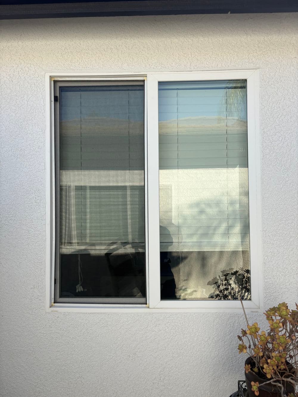 Gallery photos for Full Exterior Window Cleaning and Screen Replacement in Plumas Lake: Image #11