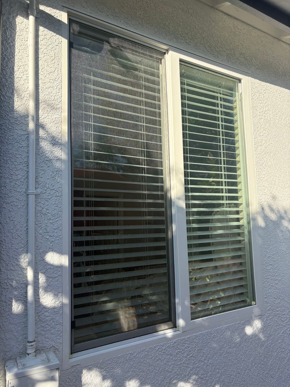 Gallery photos for Full Exterior Window Cleaning and Screen Replacement in Plumas Lake: Image #7