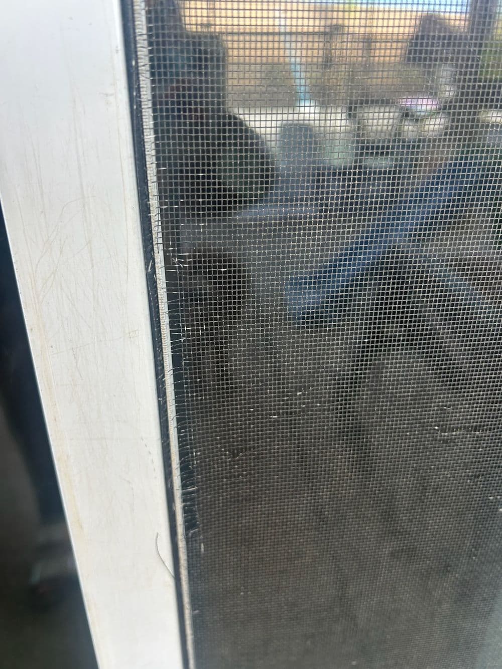 Slider Screen Upgrade to Pet Resistant Material in Plumas Lake image