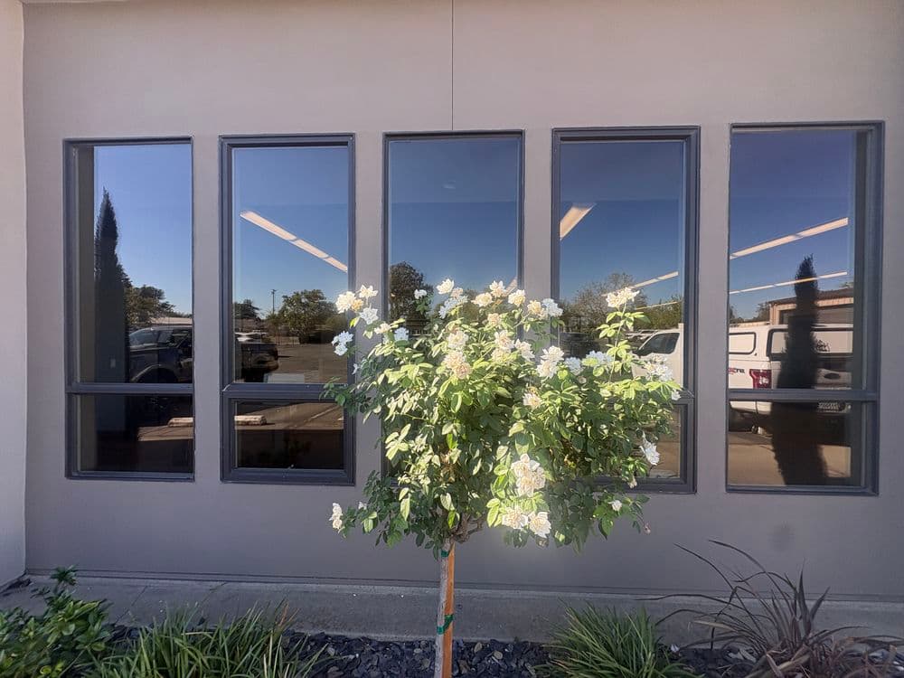 Gallery photos for Commercial Window Cleaning in Marysville Before an Open House: Image #7