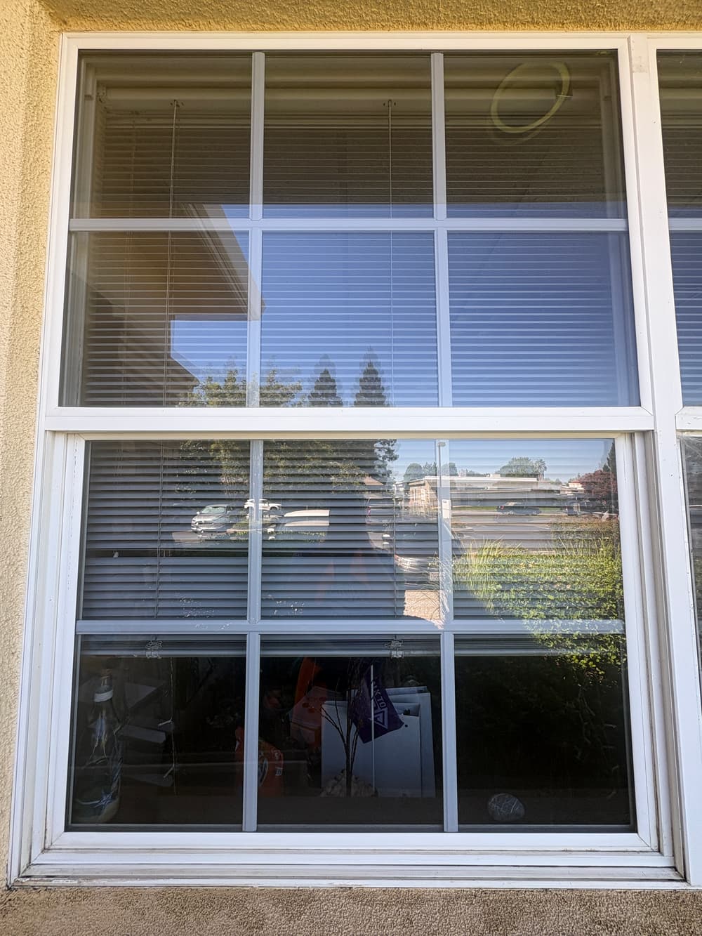 Project Commercial Window Cleaning Inside and Out in Yuba City image