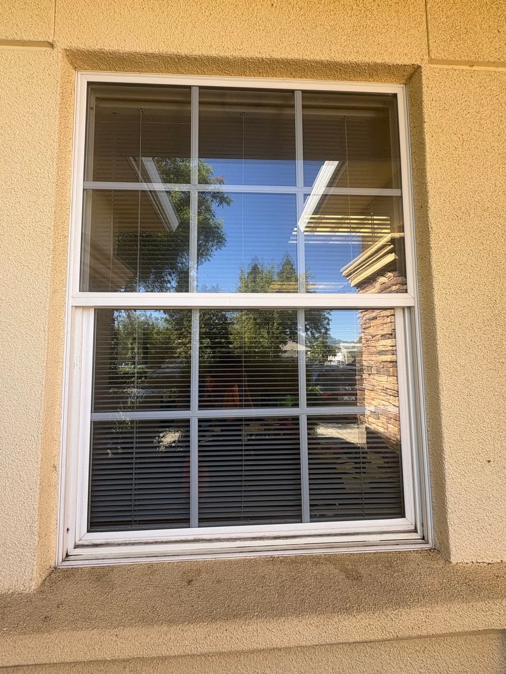 Gallery photos for Commercial Window Cleaning Inside and Out in Yuba City: Image #3