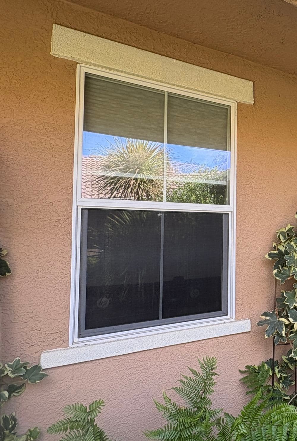Gallery photos for Slider Doors and Window Screens Rescreened with Pet Resistant Mesh in Plumas Lake: Image #1
