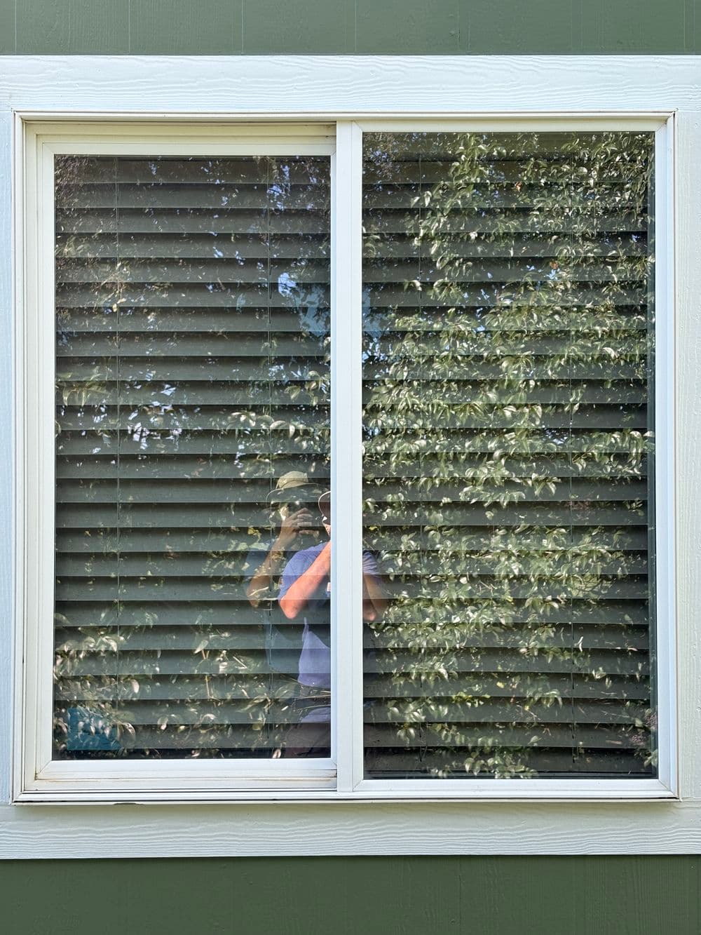 Gallery photos for Full House Screen Repair and Window Cleaning Before Listing: Image #8