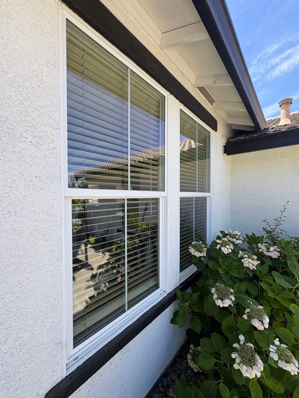 Gallery photos for Exterior Window Cleaning with Screen Service in Plumas Lake: Image #16