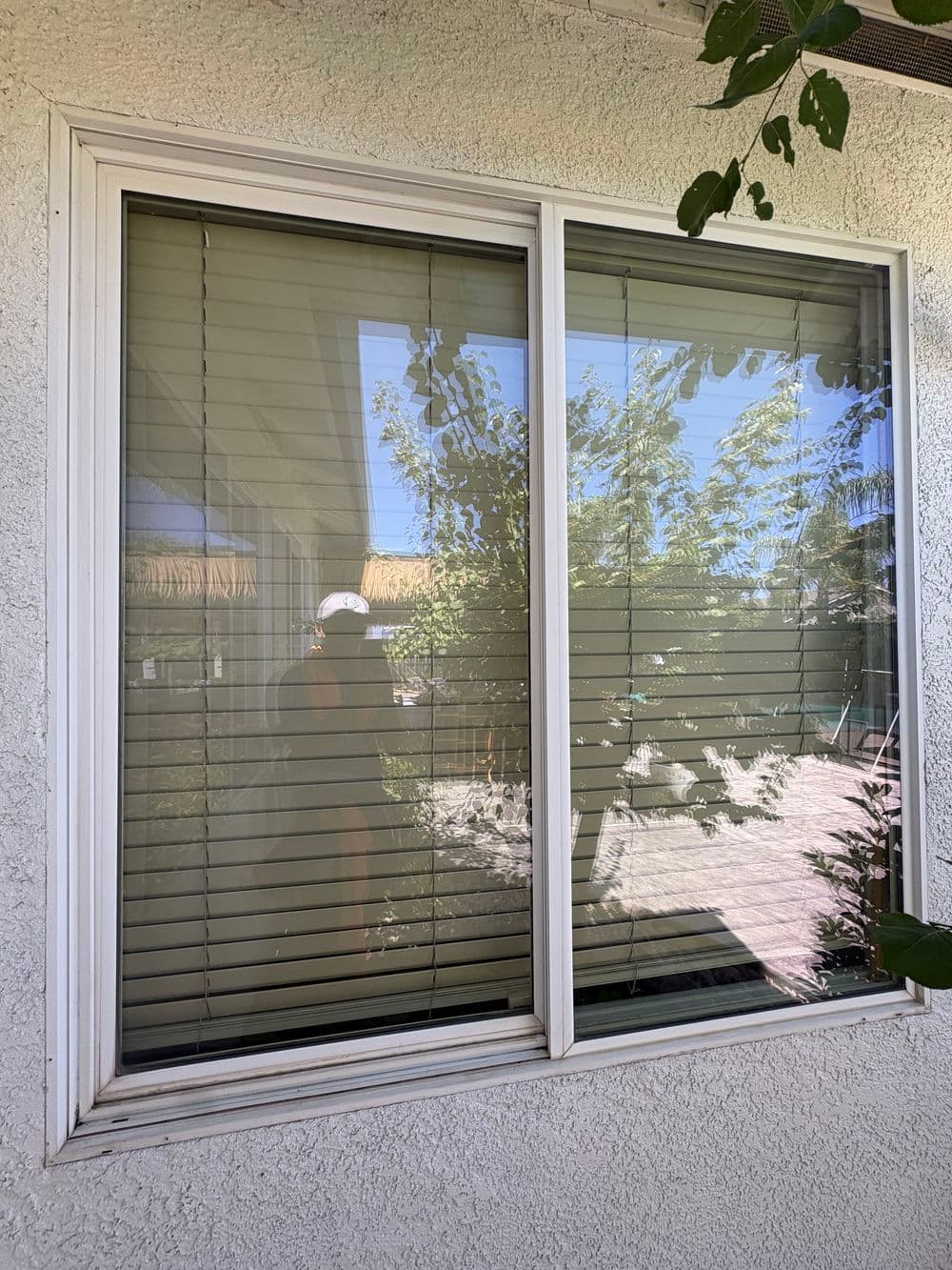 Gallery photos for Exterior Window Cleaning with Screen Service in Plumas Lake: Image #2