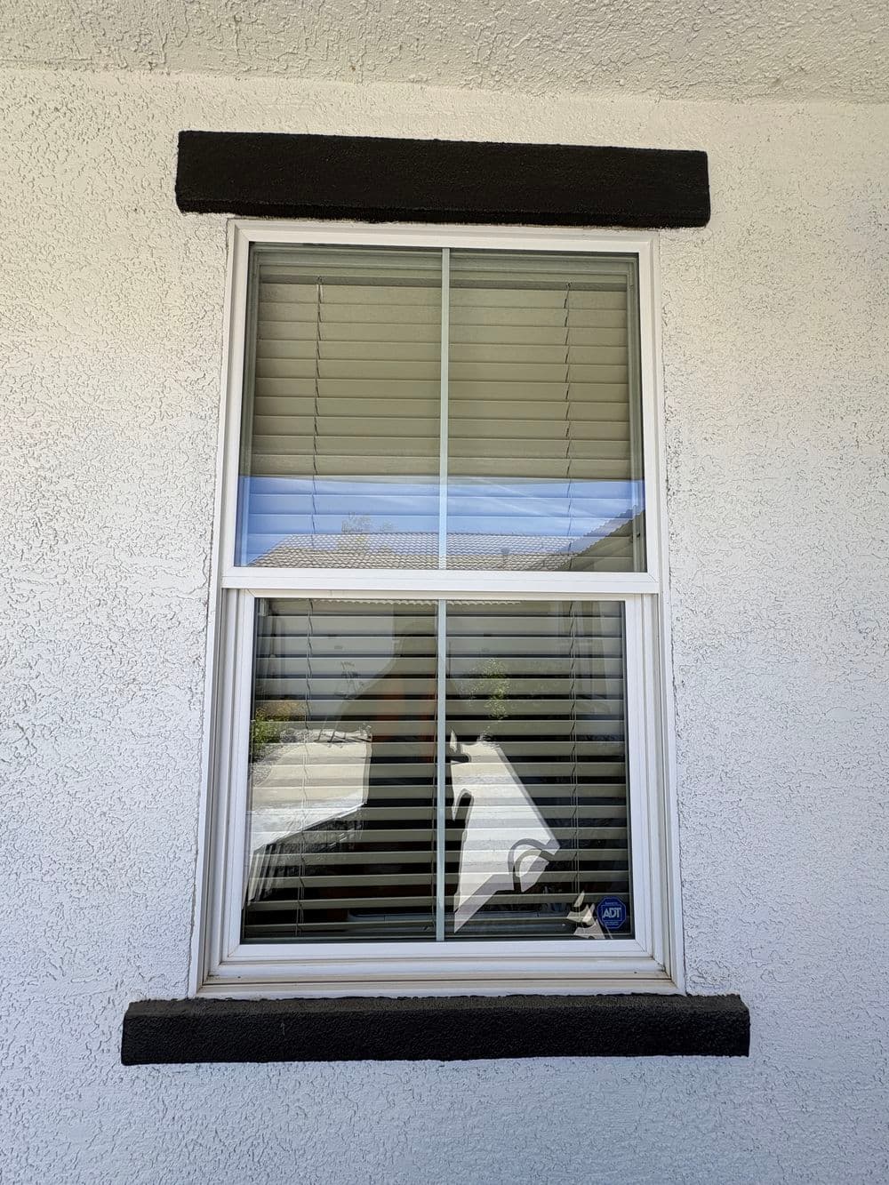 Gallery photos for Exterior Window Cleaning with Screen Service in Plumas Lake: Image #12