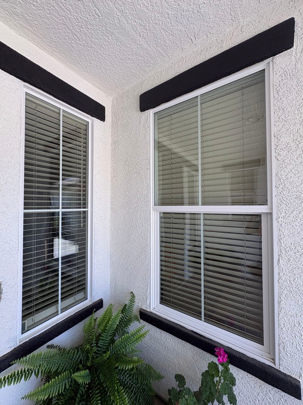 Gallery photos for Exterior Window Cleaning with Screen Service in Plumas Lake: Image #15