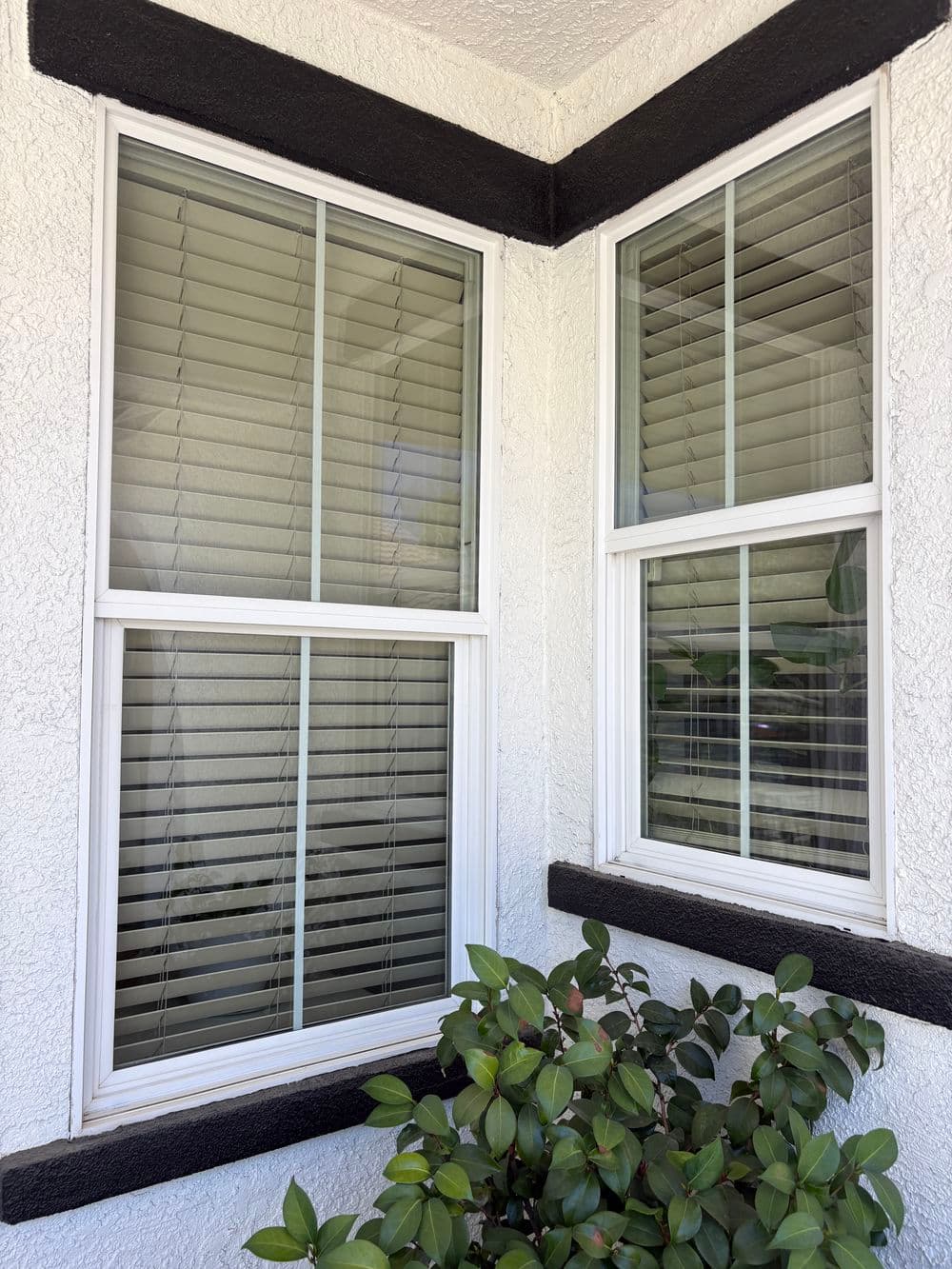 Gallery photos for Exterior Window Cleaning with Screen Service in Plumas Lake: Image #13