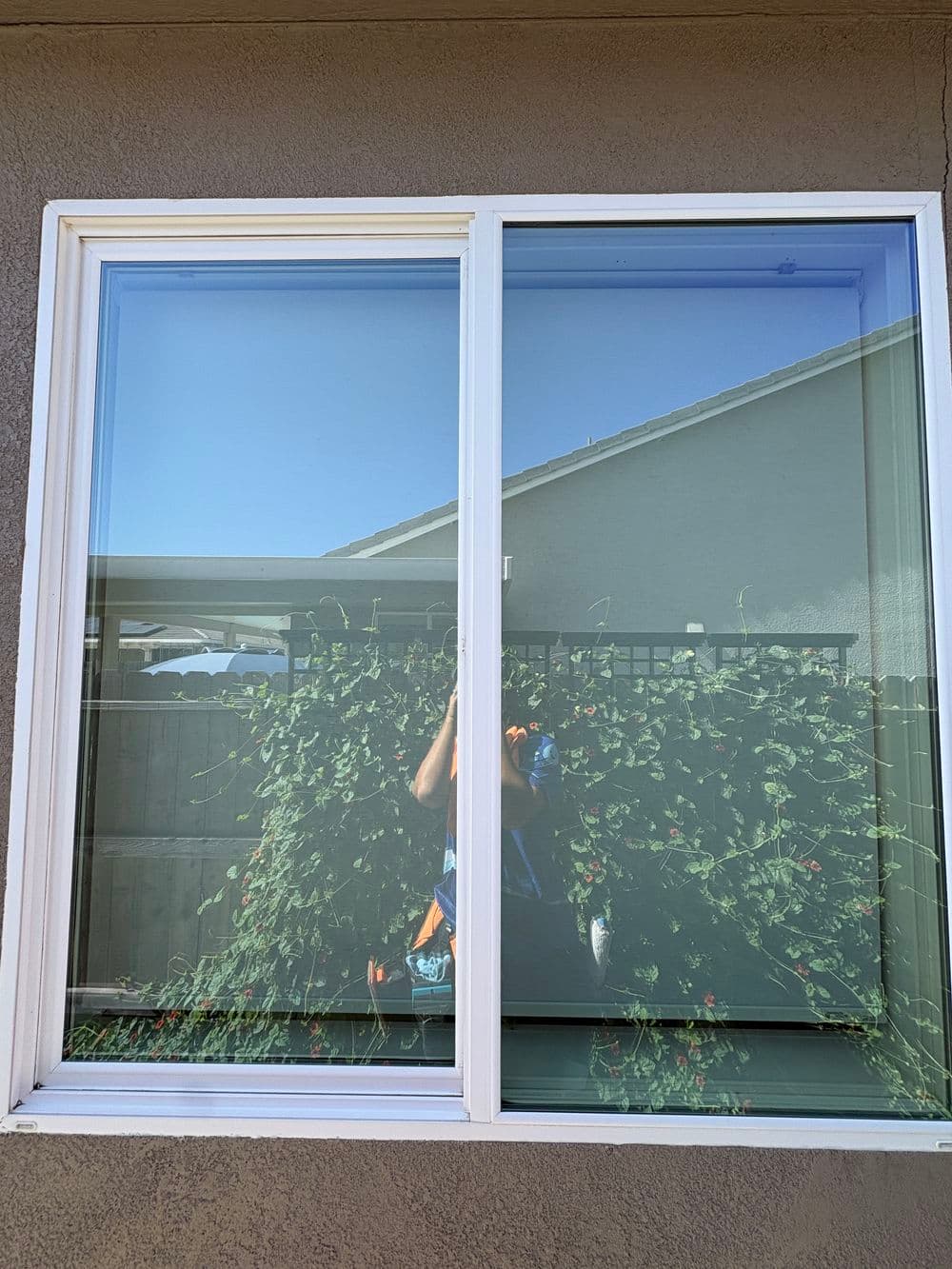 Gallery photos for Exterior Window and Screen Cleaning in Plumas Lake: Image #1